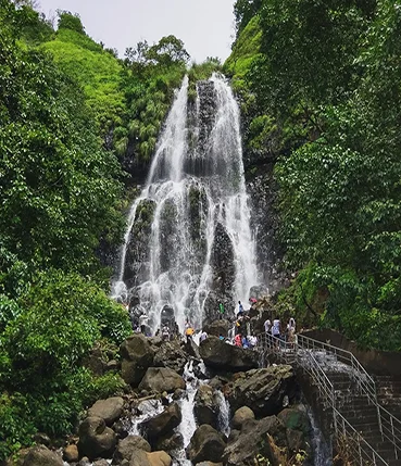 amboli waterfall near mangosteen homestay