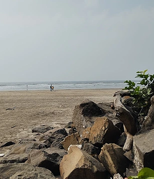 awaas beach