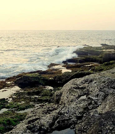 rock garden near mangosteen homestay