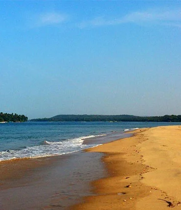 tarkarli beach near mangosteen homestay