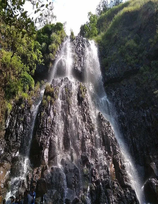 amboli falls mangosteen