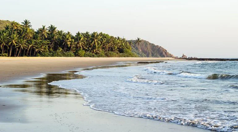 bhogwe beach near mangosteen villa