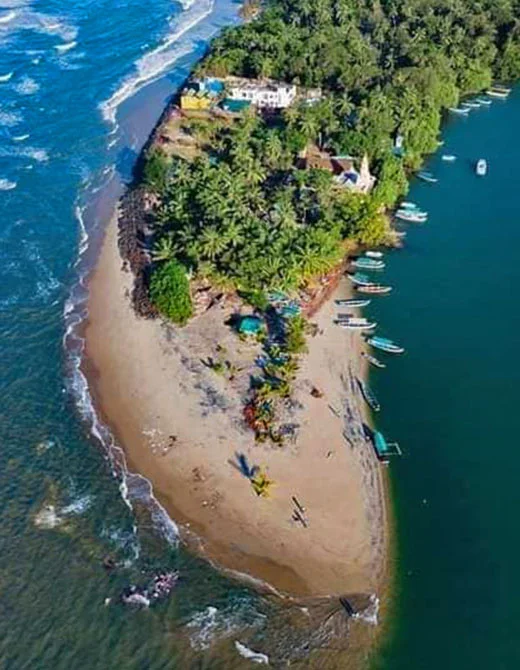 bhogwe beach mangosteen