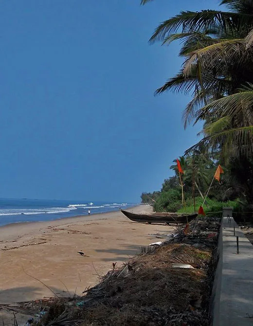 devbagh beach mangosteen