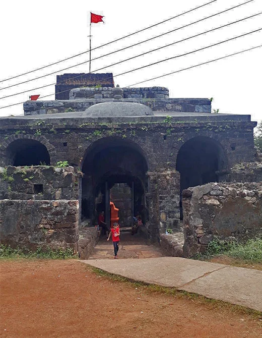 sindhudurg fort mangosteen